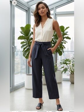 Aritzia Wilfred Tie Front Pants Gray Pinstripes 
Cropped Size 8 Business Casual